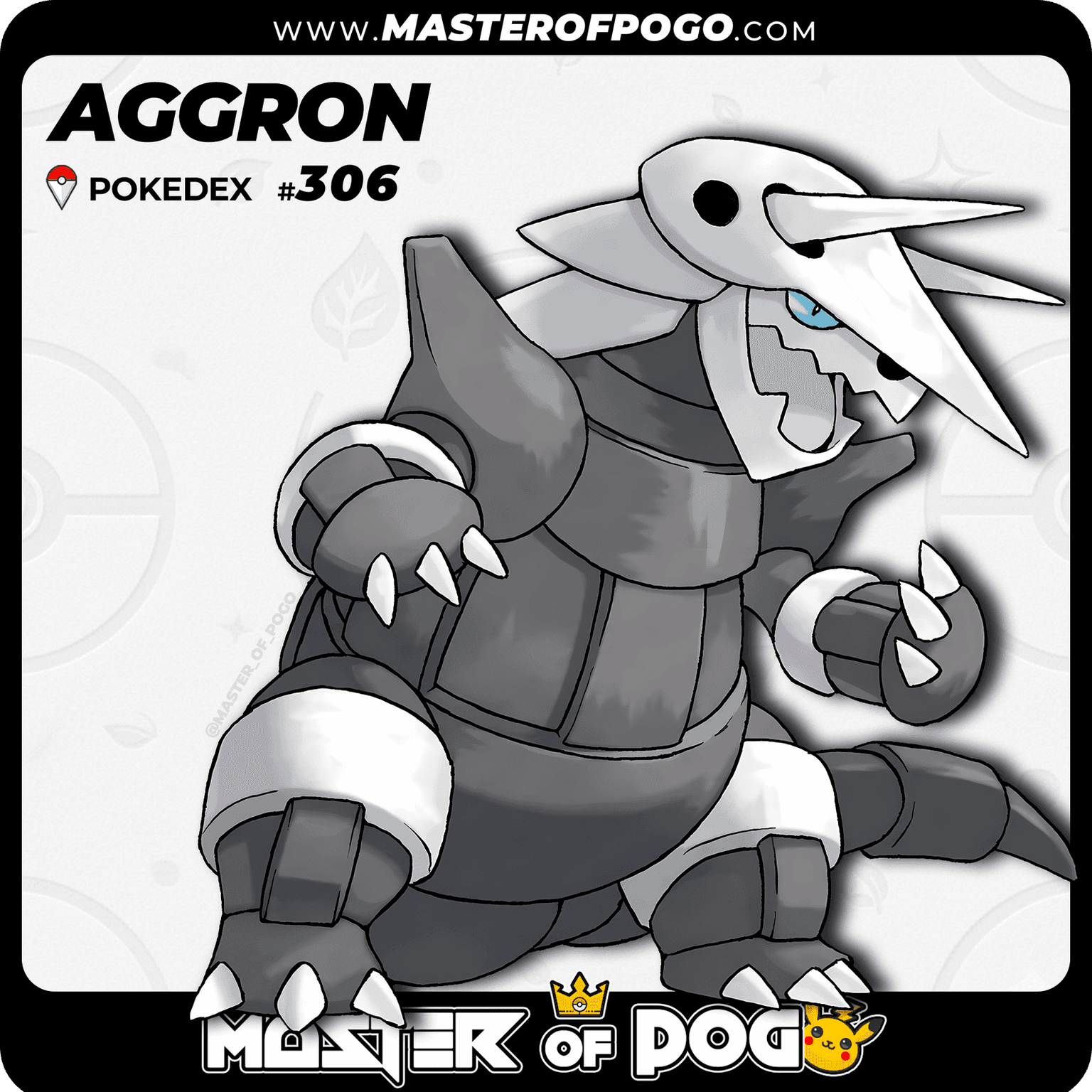 #306 - AGGRON