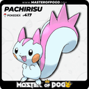 #417 - PACHIRISU