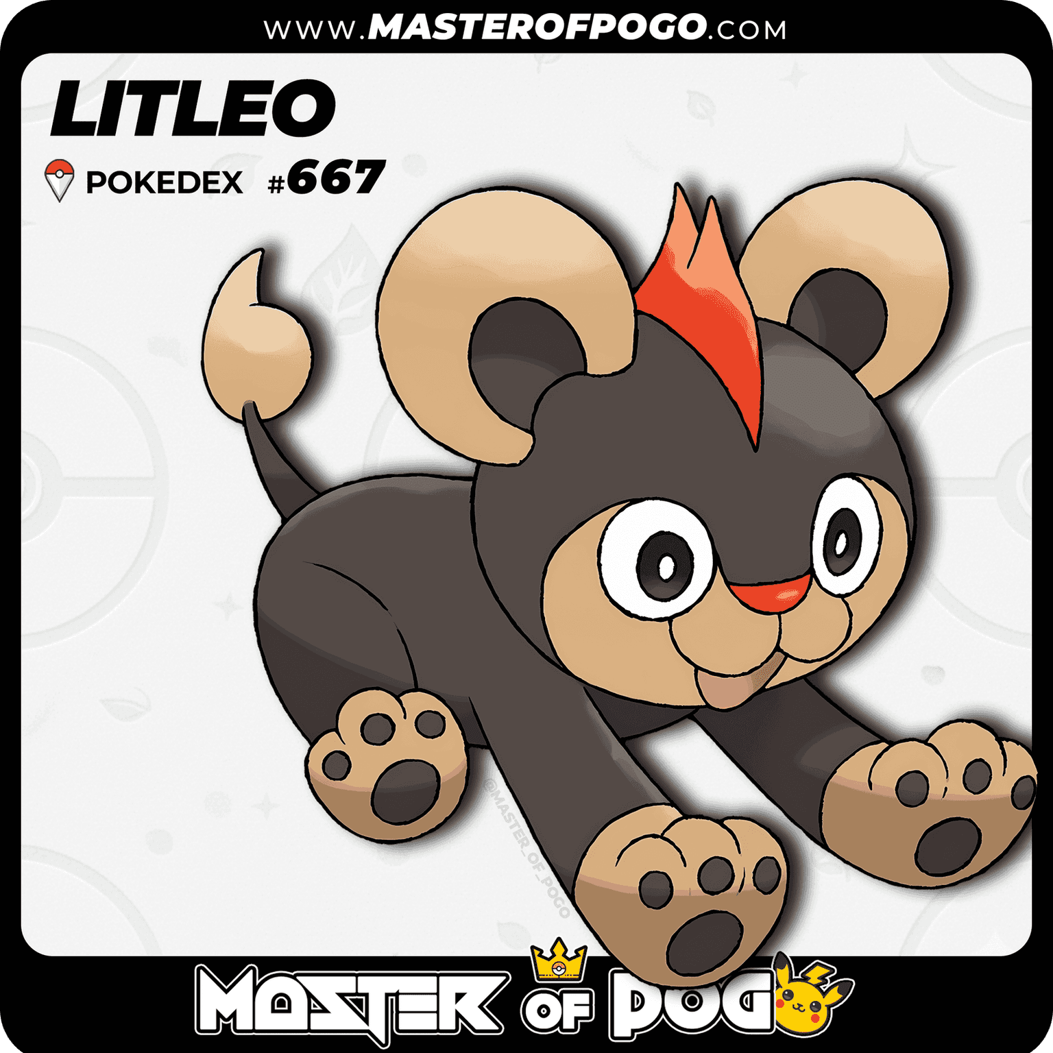 #667 - LITLEO