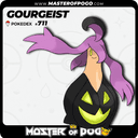 #711 - GOURGEIST