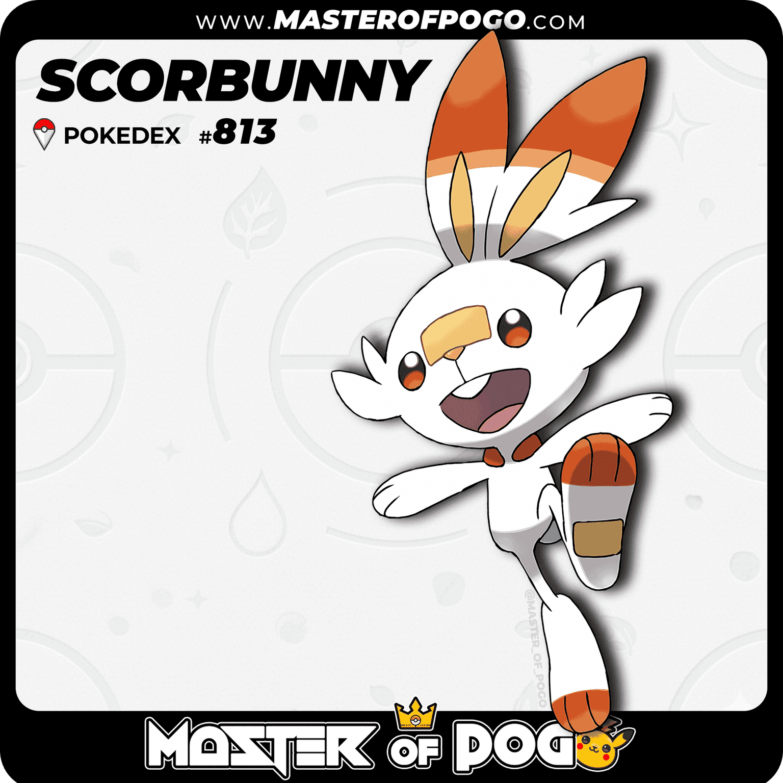 #813 - SCORBUNNY