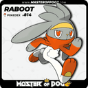 #814 - RABOOT