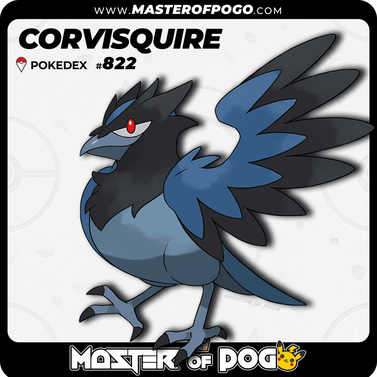 #822 - CORVISQUIRE