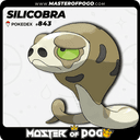 #843 - SILICOBRA