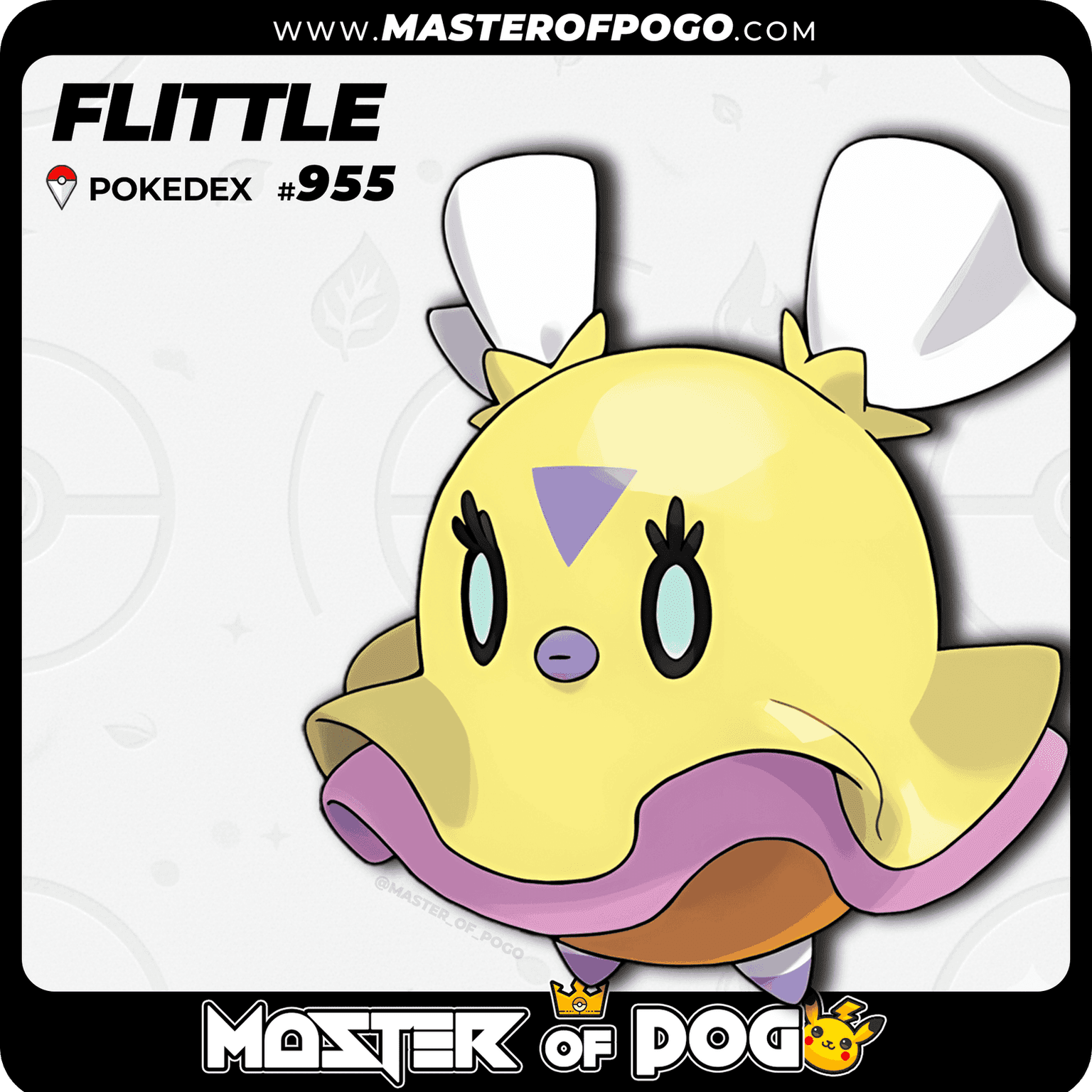 #955 - FLITTLE