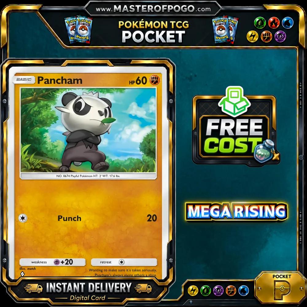 B1-138 — Pancham