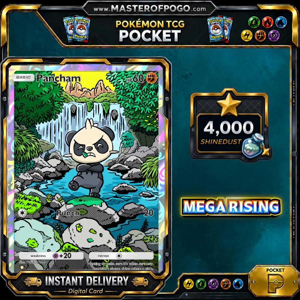 B1-243 — Pancham