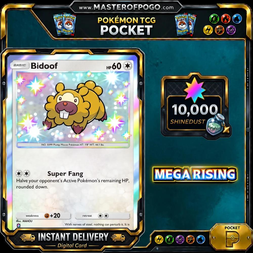 B1-316 — Bidoof