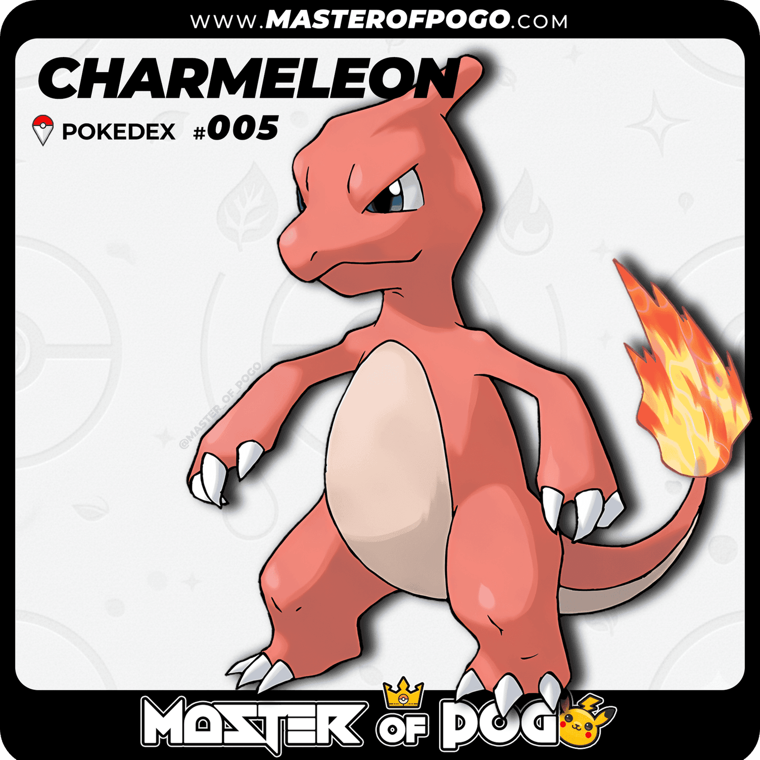 #005 - CHARMELEON