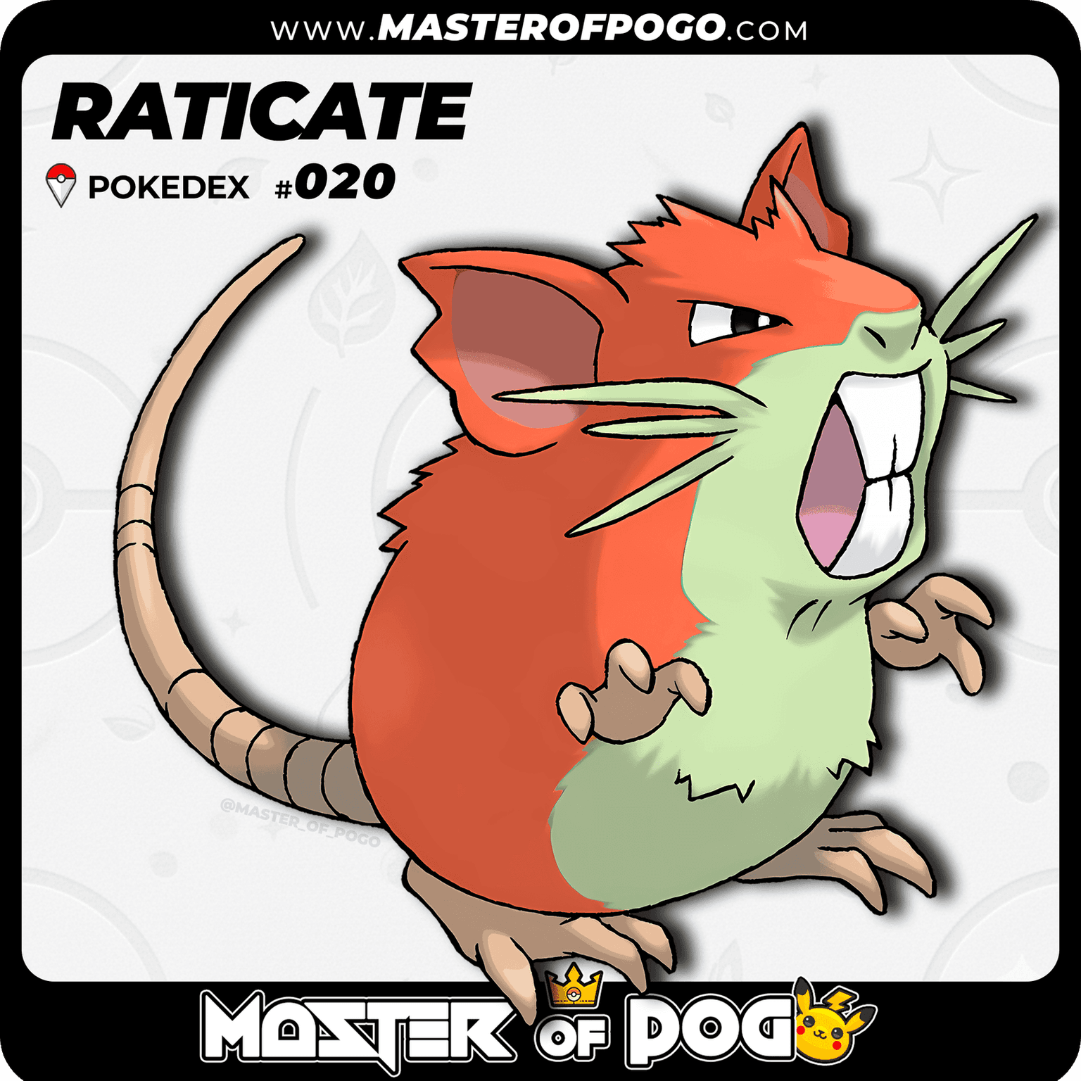#020 - RATICATE — alternate view