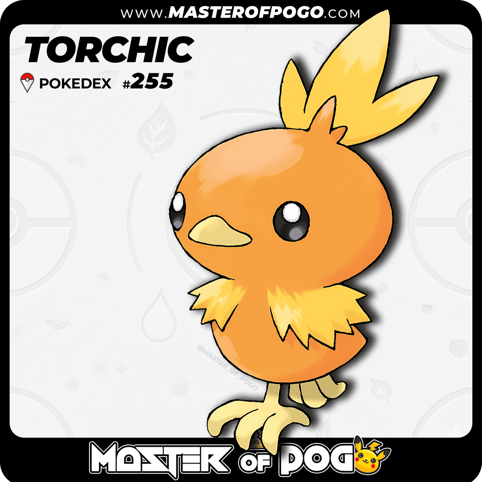 #255 - TORCHIC