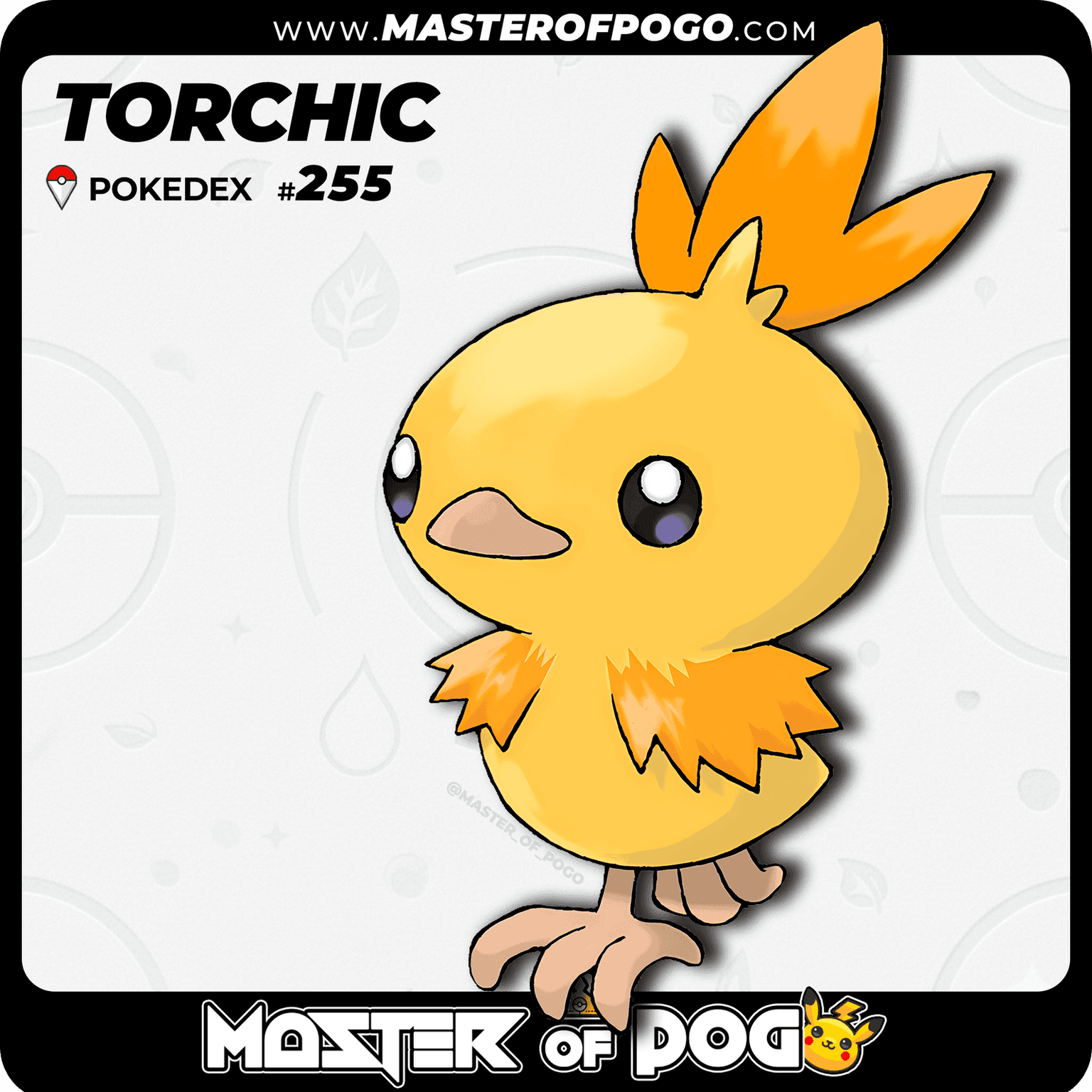 #255 - TORCHIC — alternate view