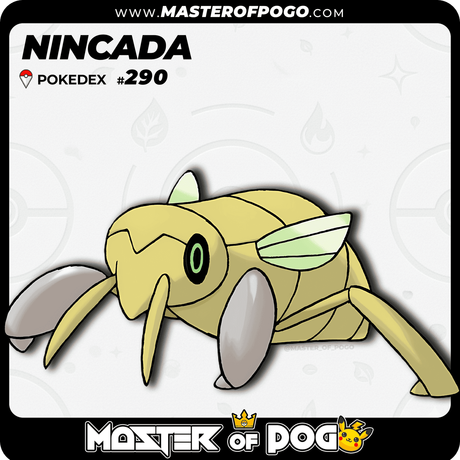 #290 - NINCADA — alternate view
