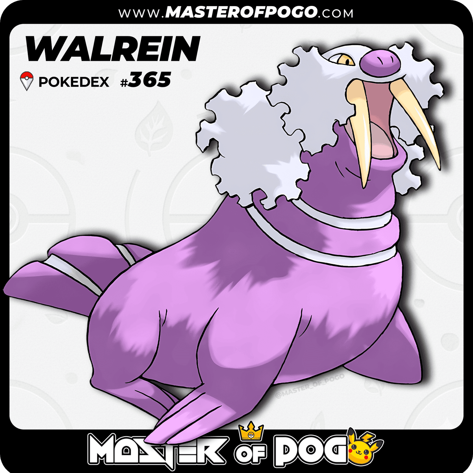#365 - WALREIN — alternate view