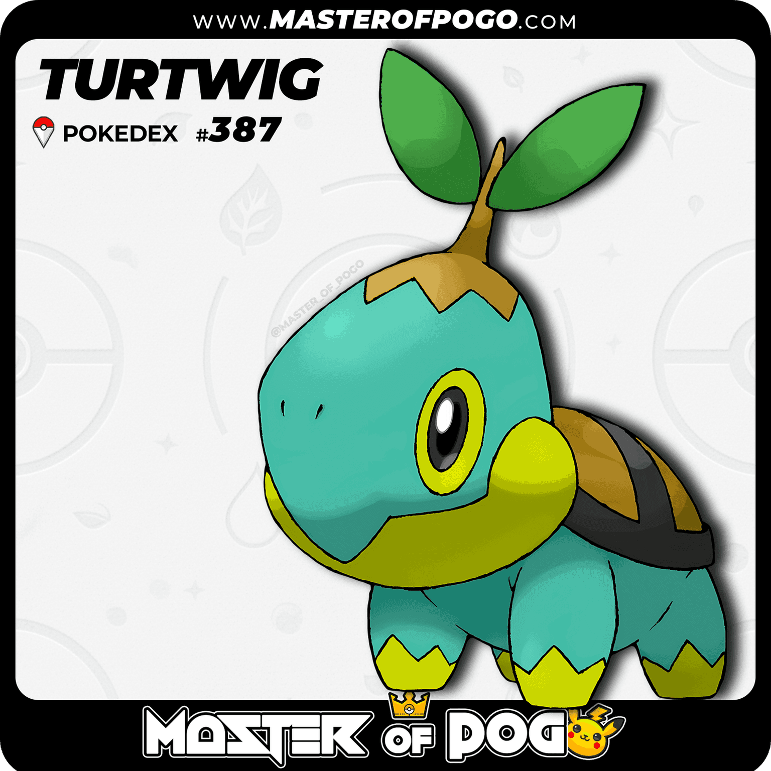 #387 - TURTWIG — alternate view