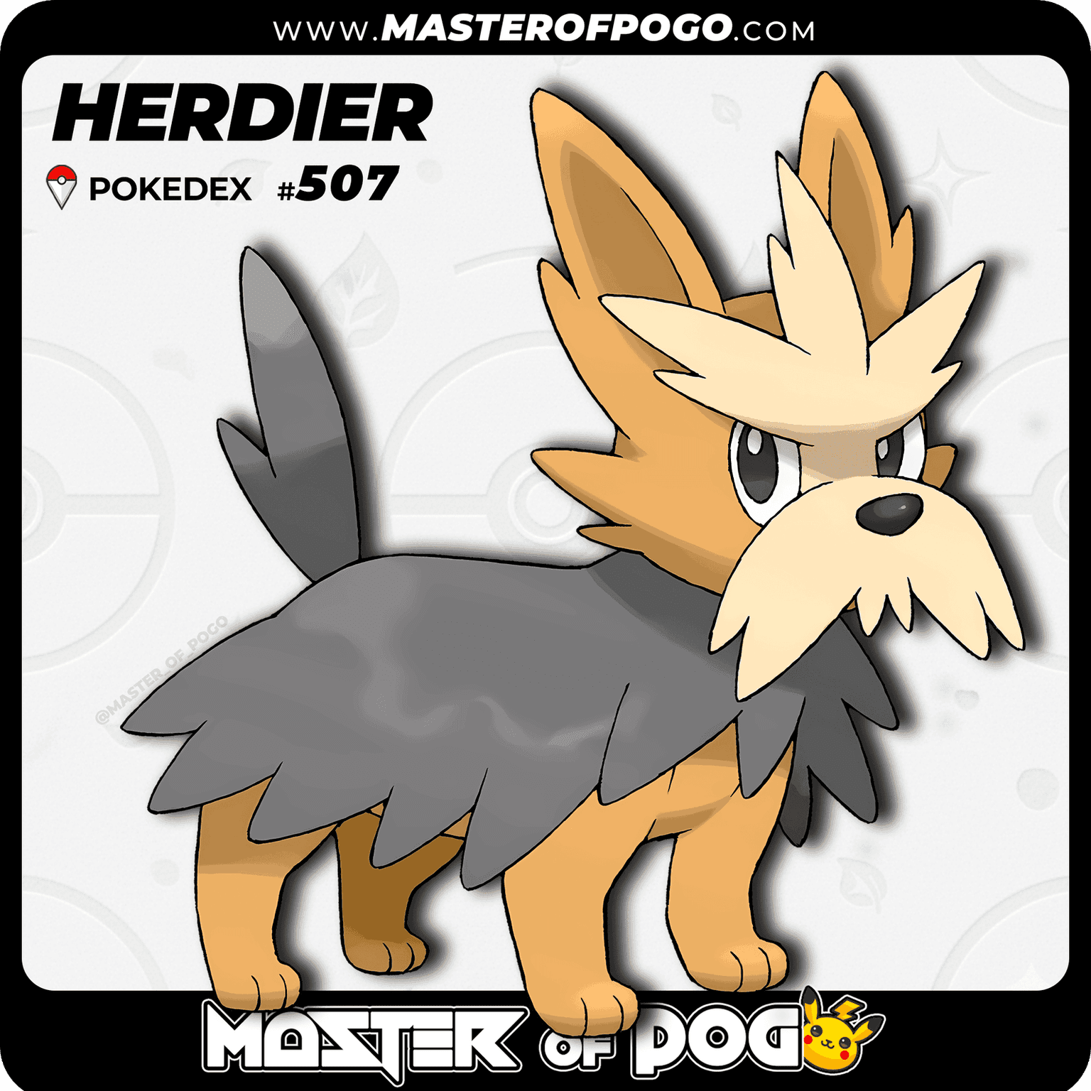 #507 - HERDIER — alternate view