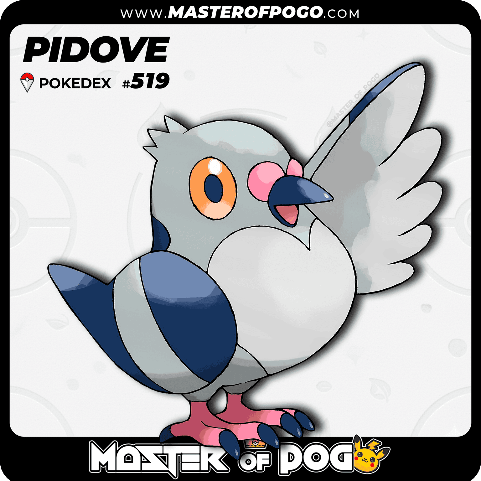 #519 - PIDOVE — alternate view