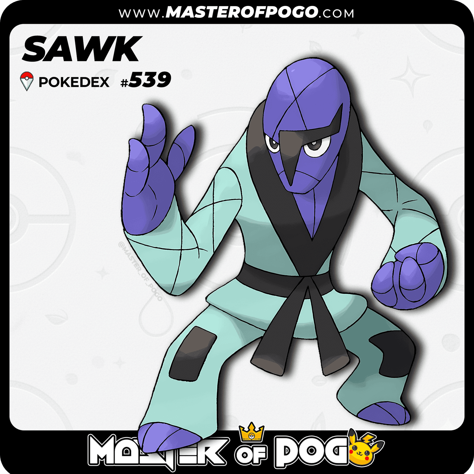 #539 - SAWK — alternate view