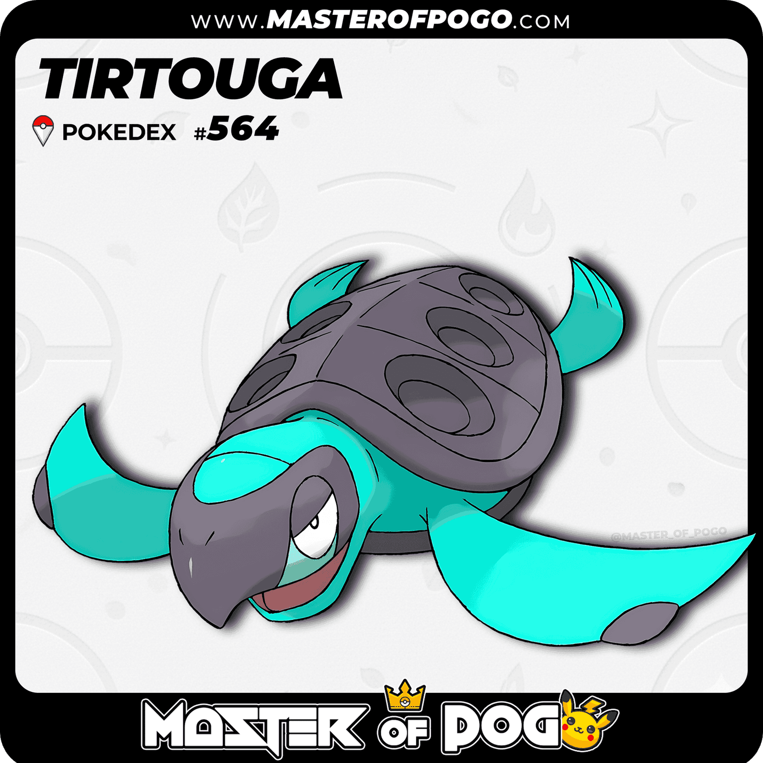 #564 - TIRTOUGA — alternate view
