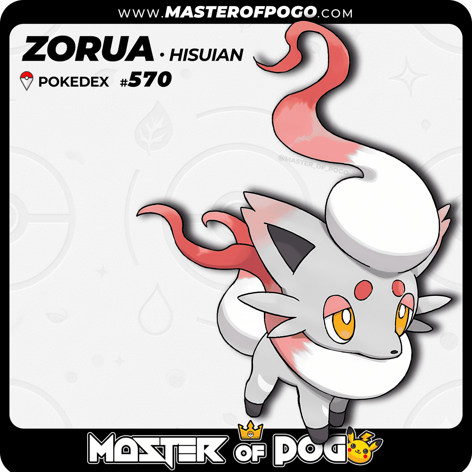 #570 - Hisuian ZORUA
