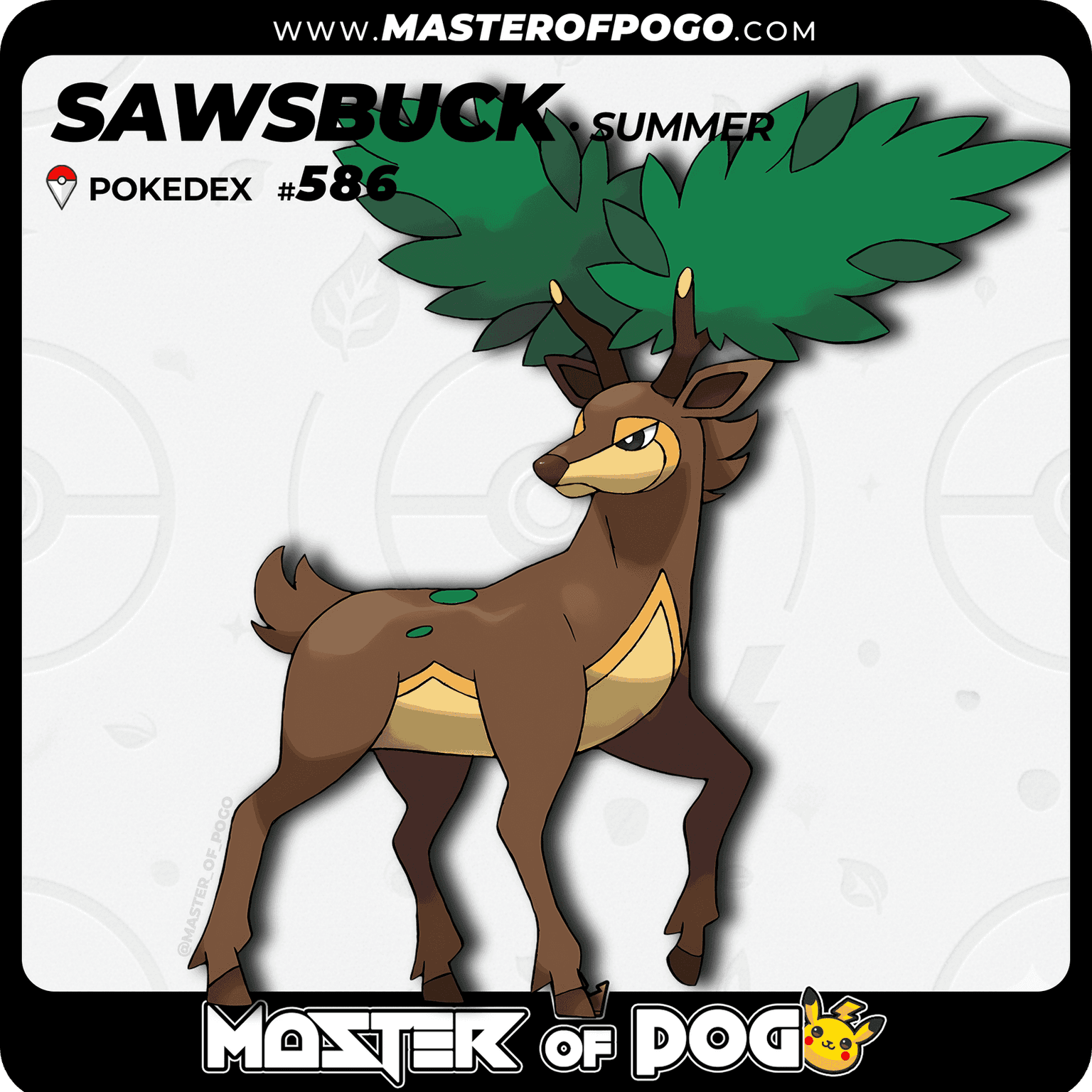 #586 - Summer SAWSBUCK