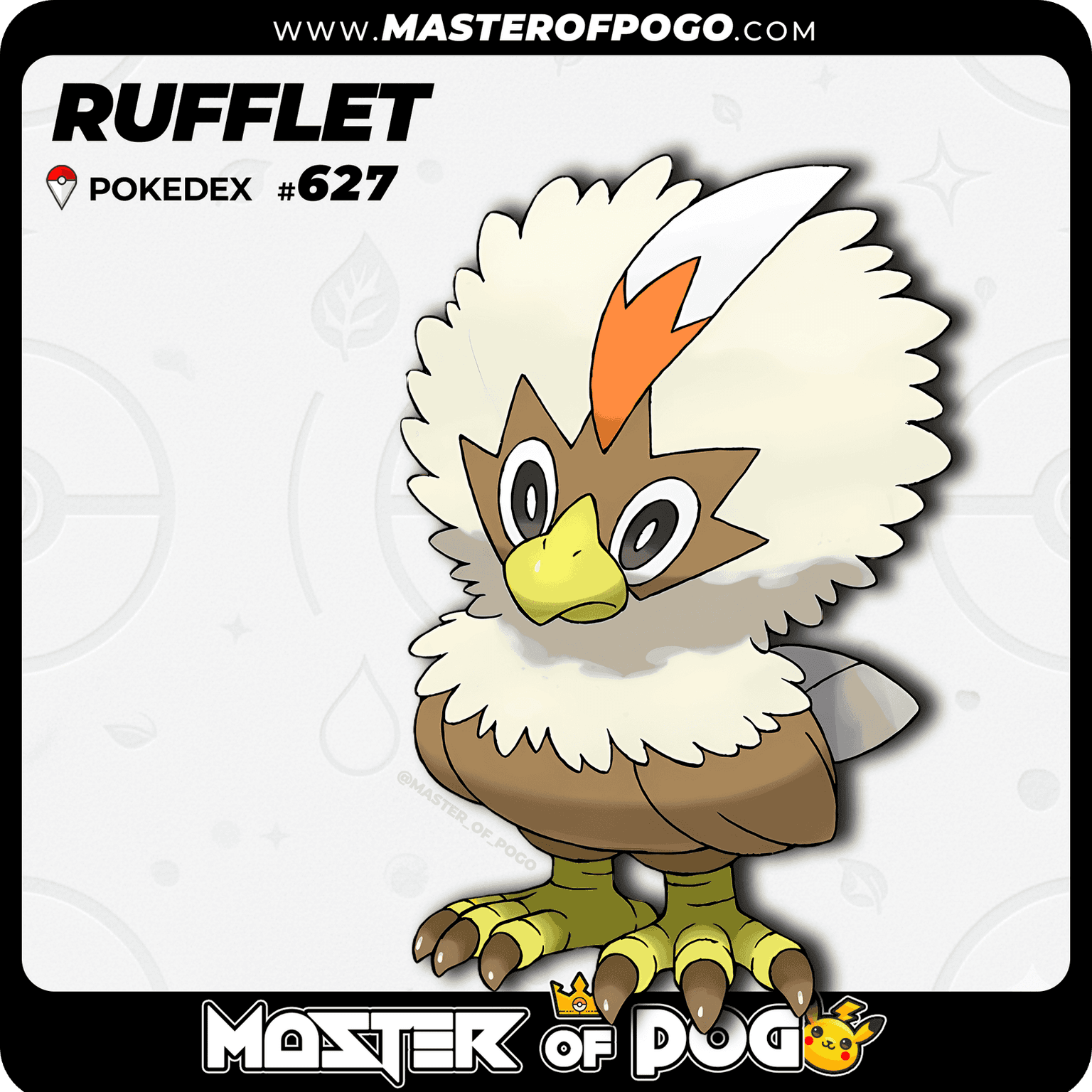 #627 - RUFFLET — alternate view