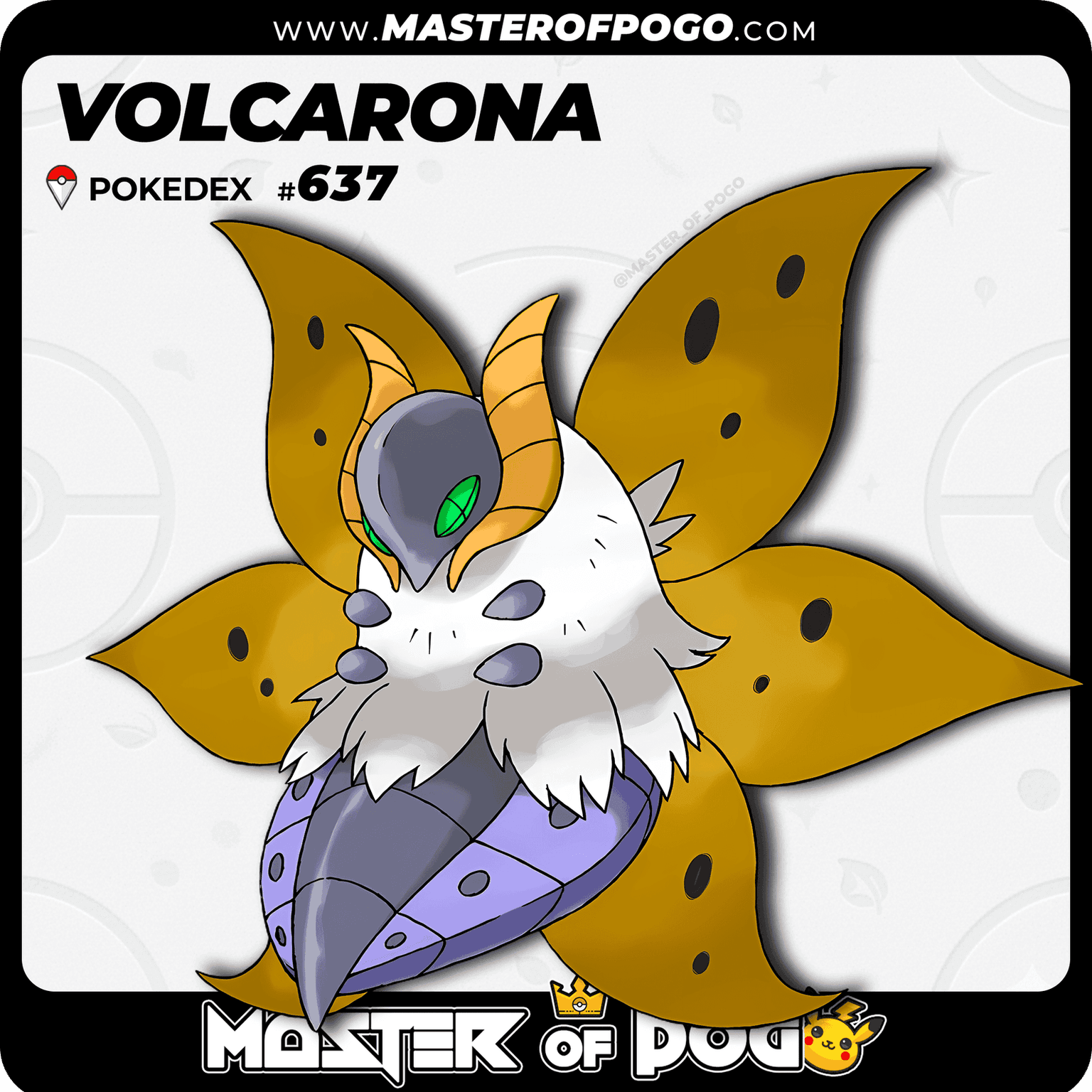 #637 - VOLCARONA — alternate view
