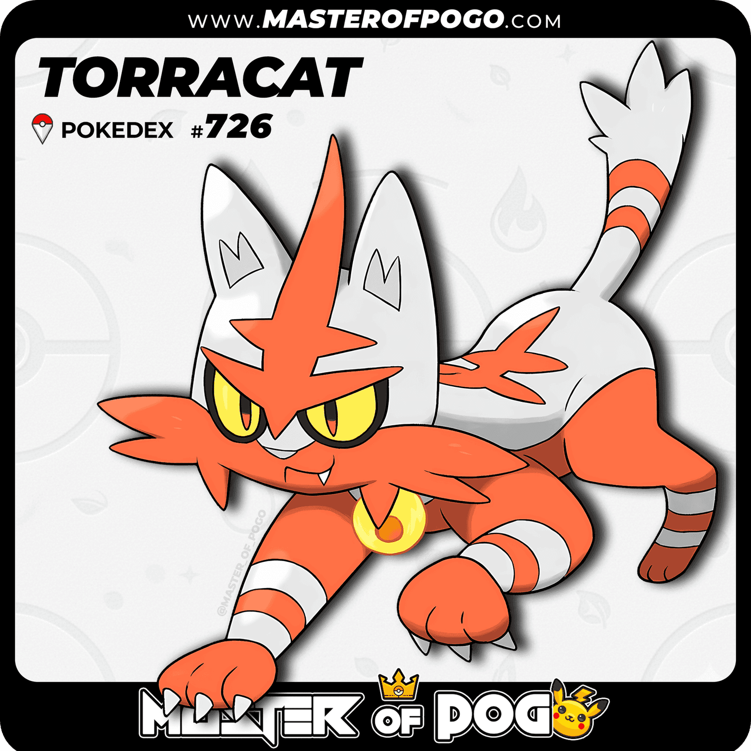 #726 - TORRACAT — alternate view