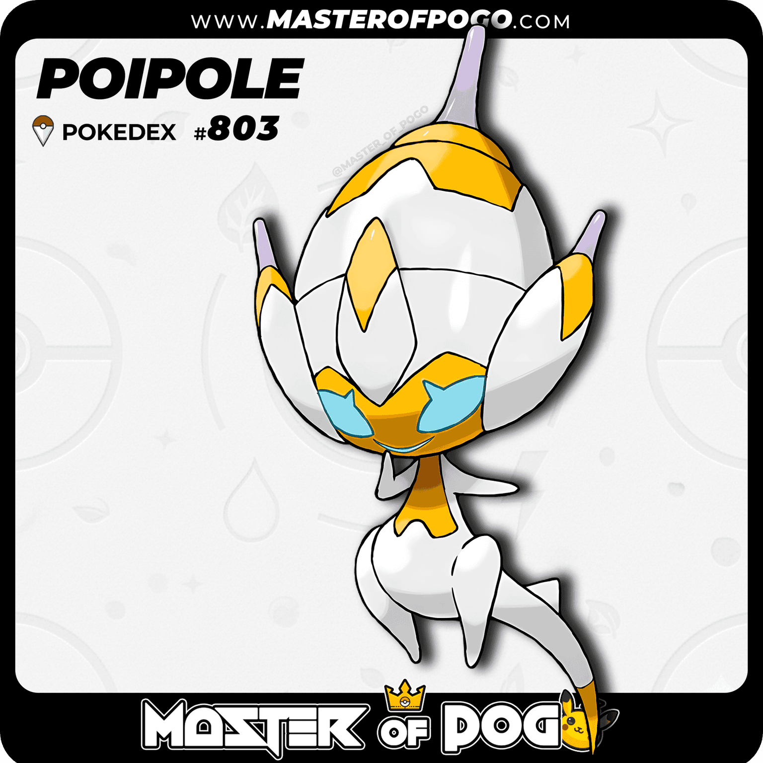 #803 - POIPOLE — alternate view