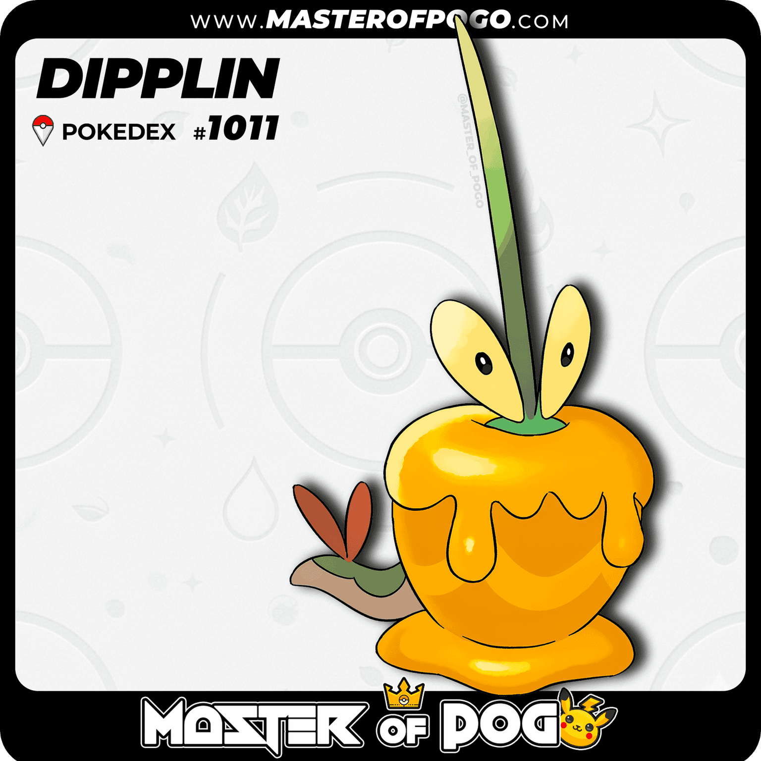 #1011 - DIPPLIN — alternate view