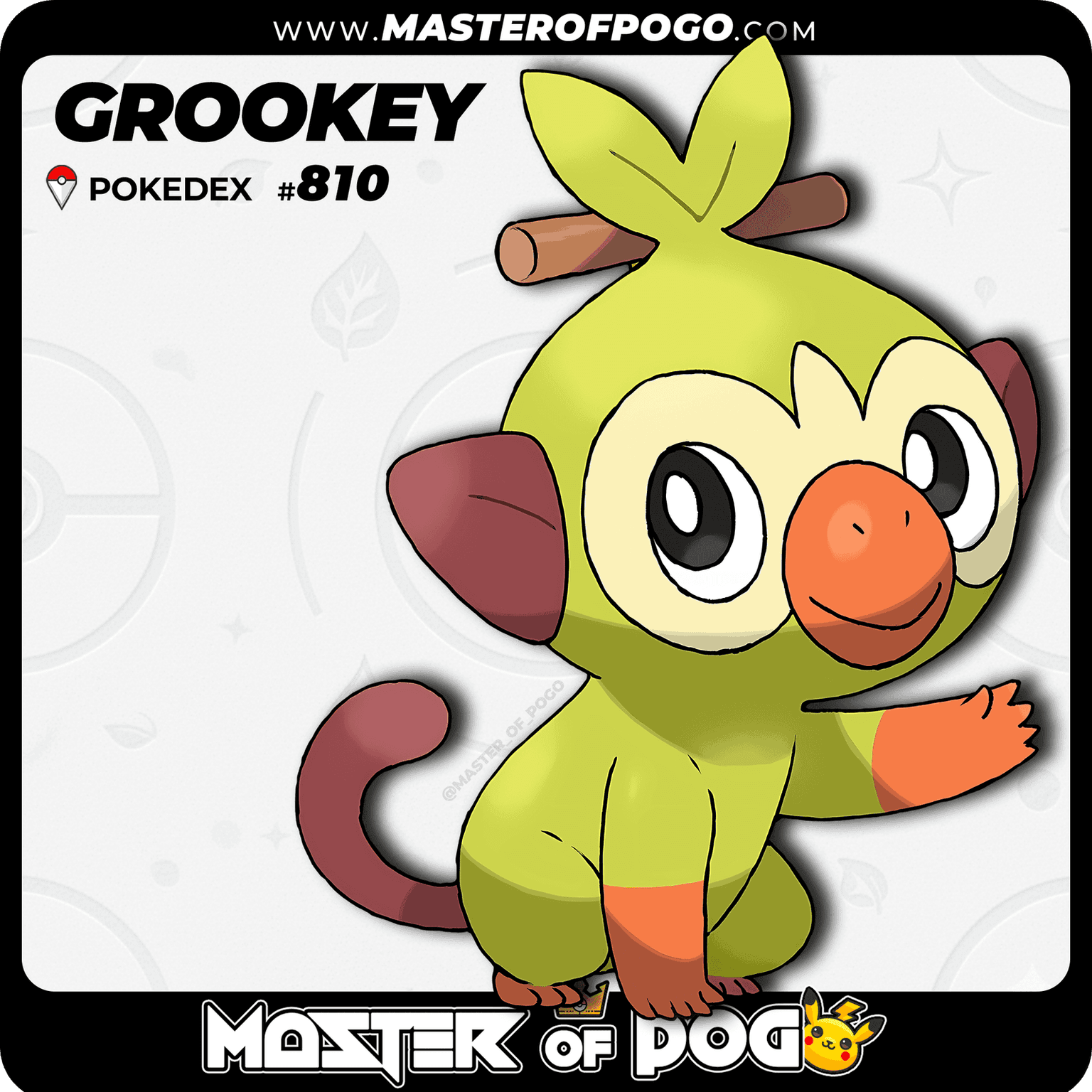#810 - GROOKEY — alternate view