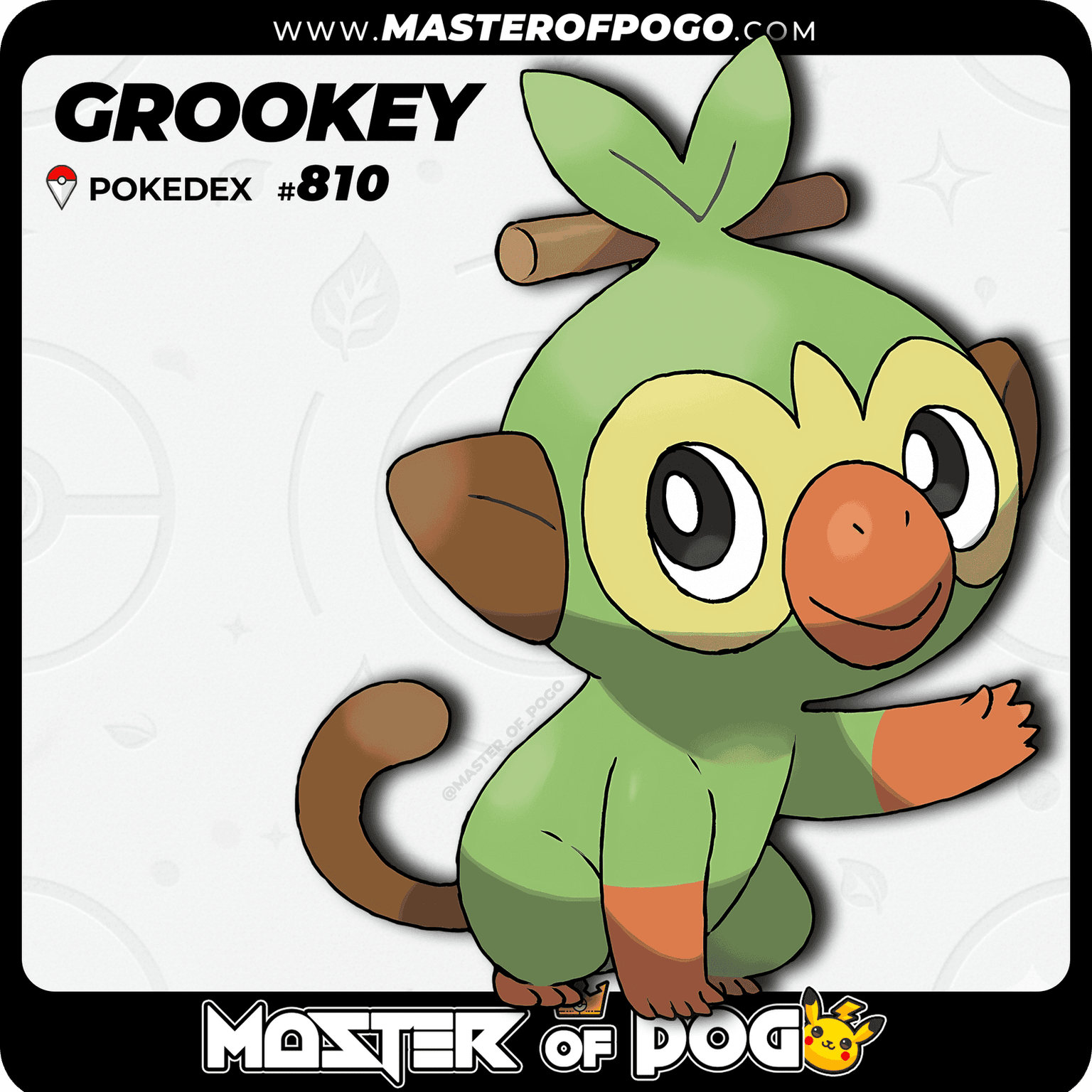 #810 - GROOKEY