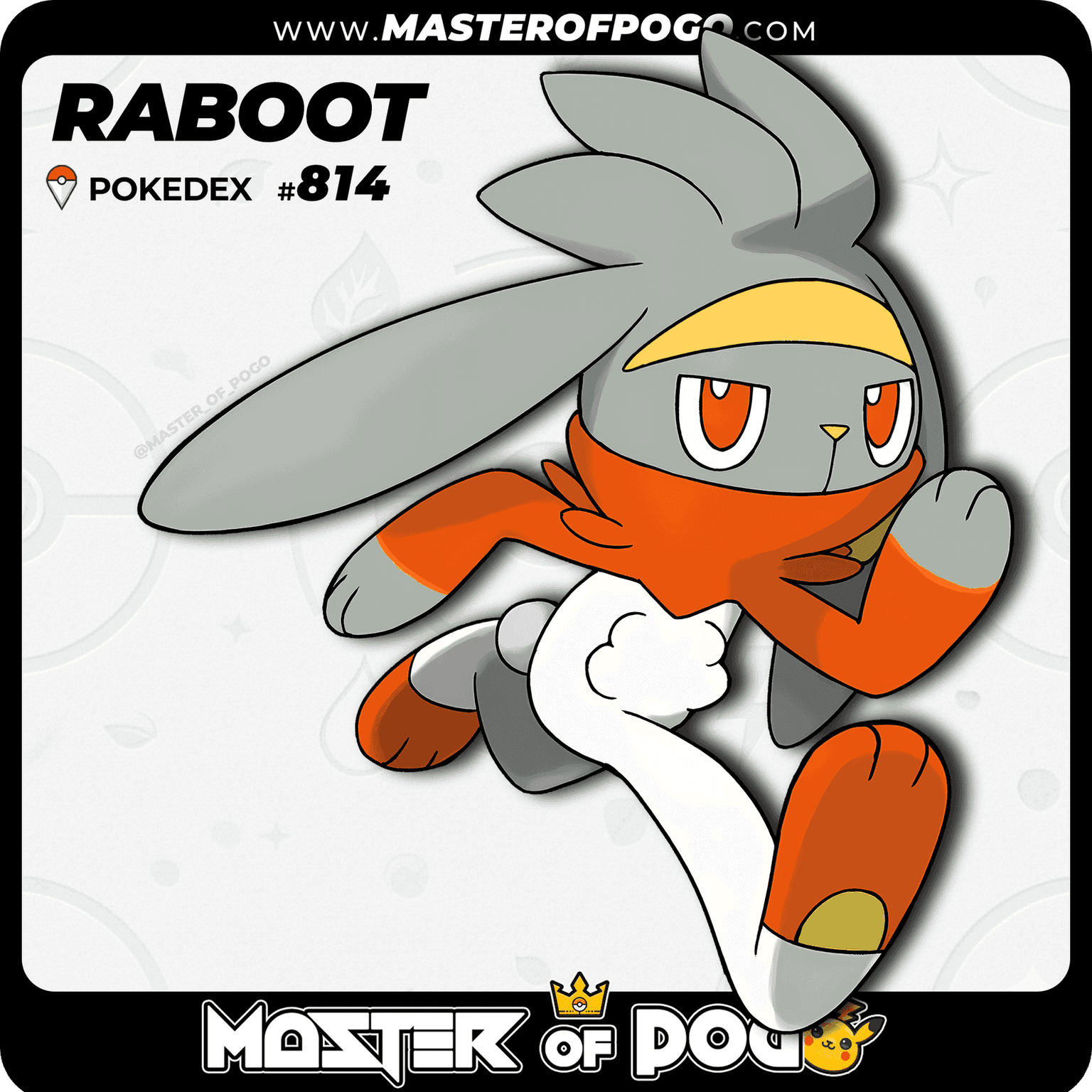 #814 - RABOOT — alternate view