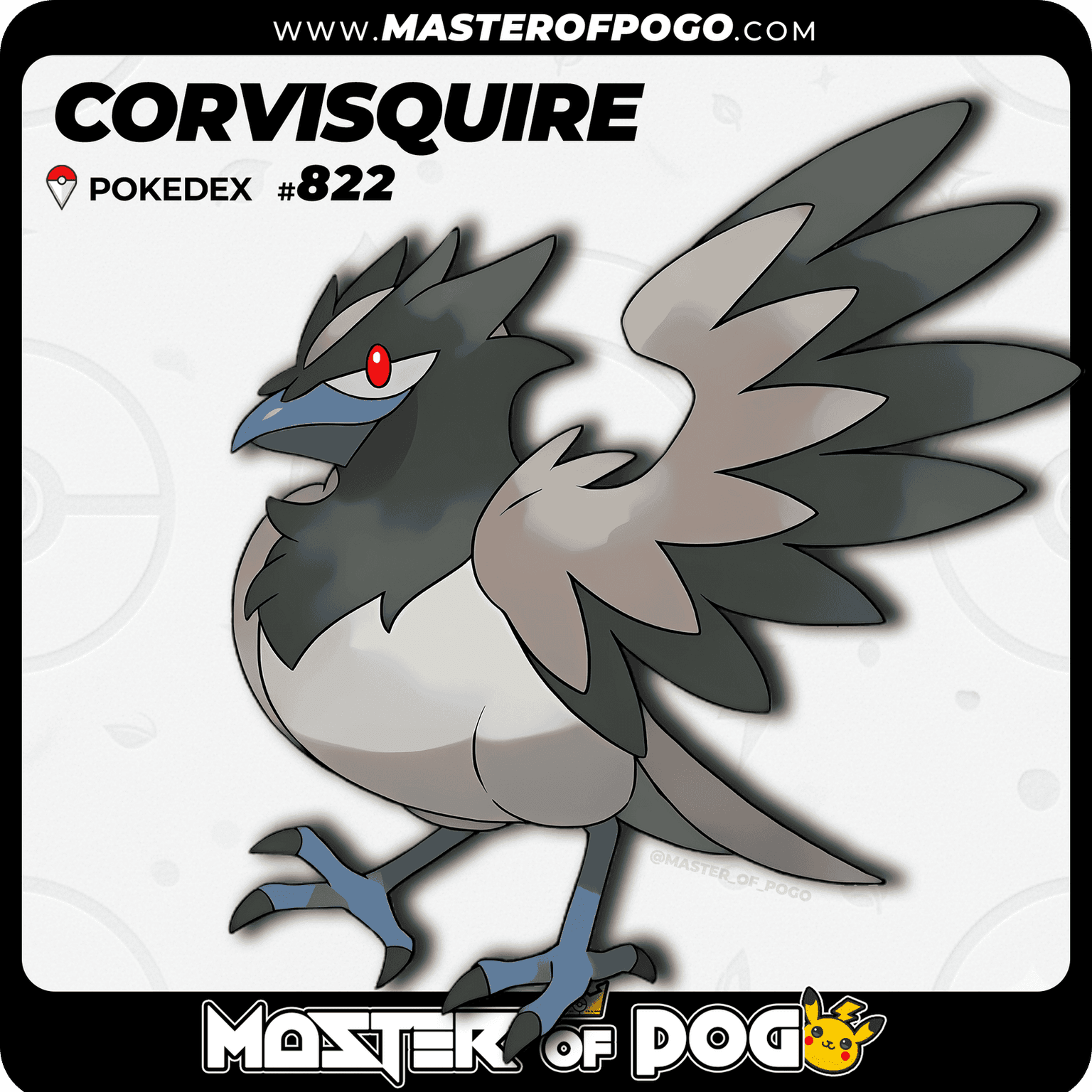 #822 - CORVISQUIRE — alternate view