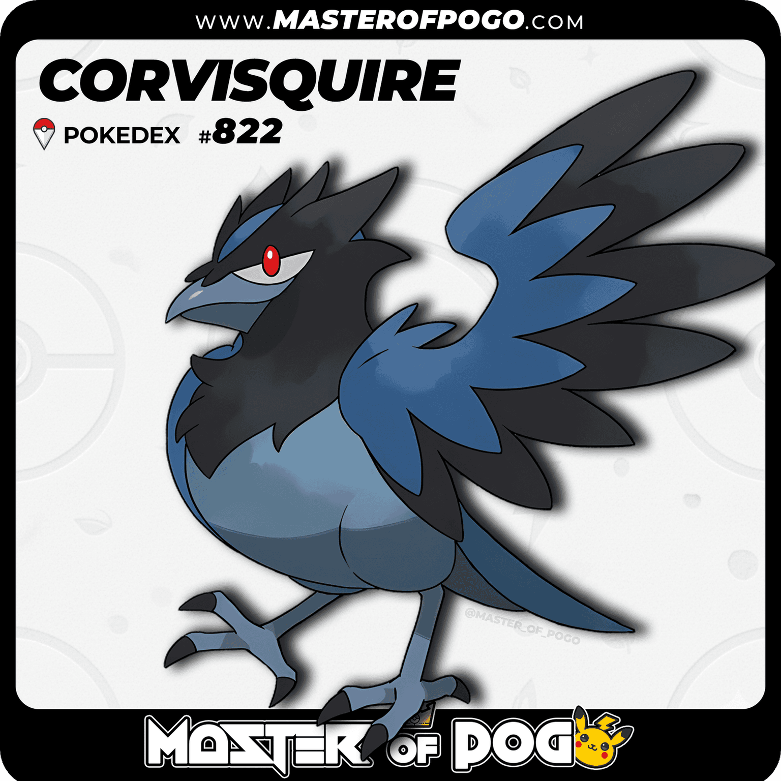 #822 - CORVISQUIRE