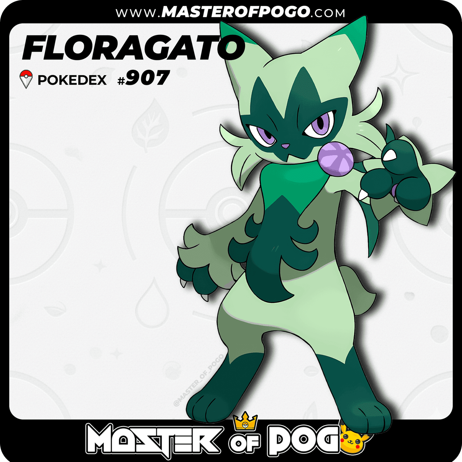 #907 - FLORAGATO — alternate view