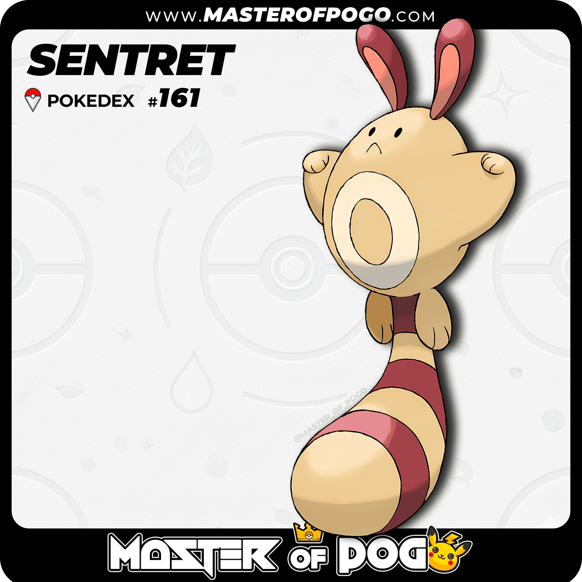 WEB POKEMON – 161 S