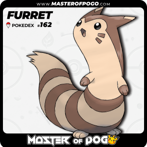 #162 - FURRET