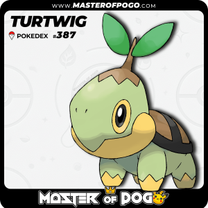 #387 - TURTWIG