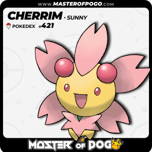 #421 - Sunny CHERRIM