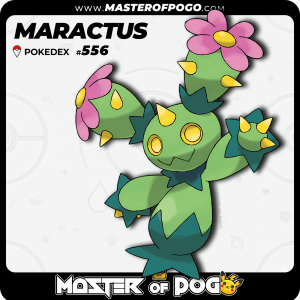 #556 - MARACTUS