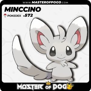 #572 - MINCCINO