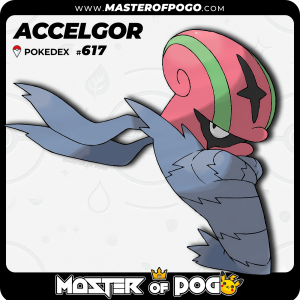 #617 - ACCELGOR